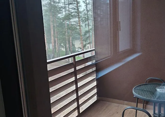 Balkan Hill 3 - A26 - Pekovic Blue Sa Garazom * Zlatibor